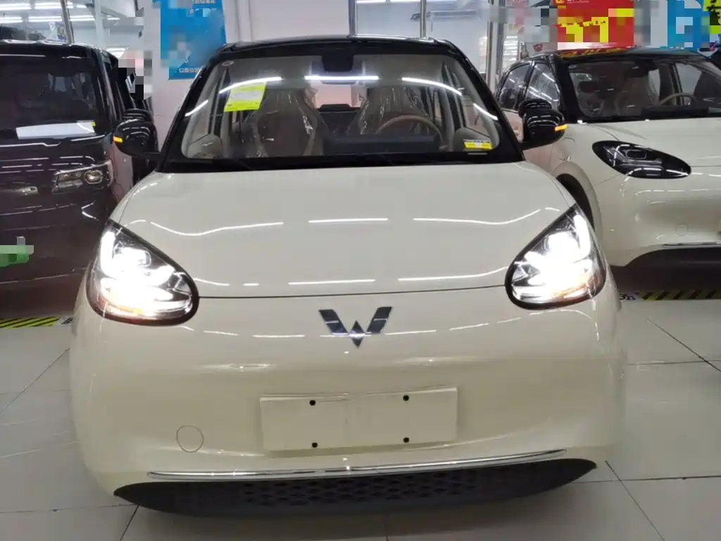 Wuling Binguo 2025 333km Enjoy