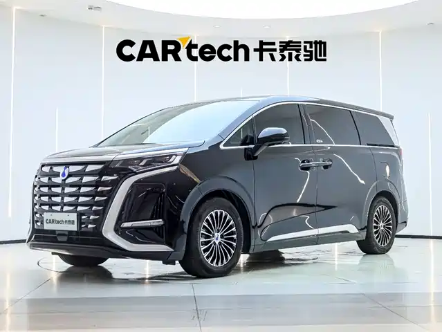 2024 Denza D9
