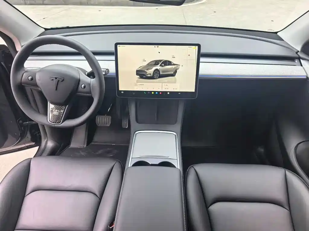 Tesla Model Y — миниатюра 5