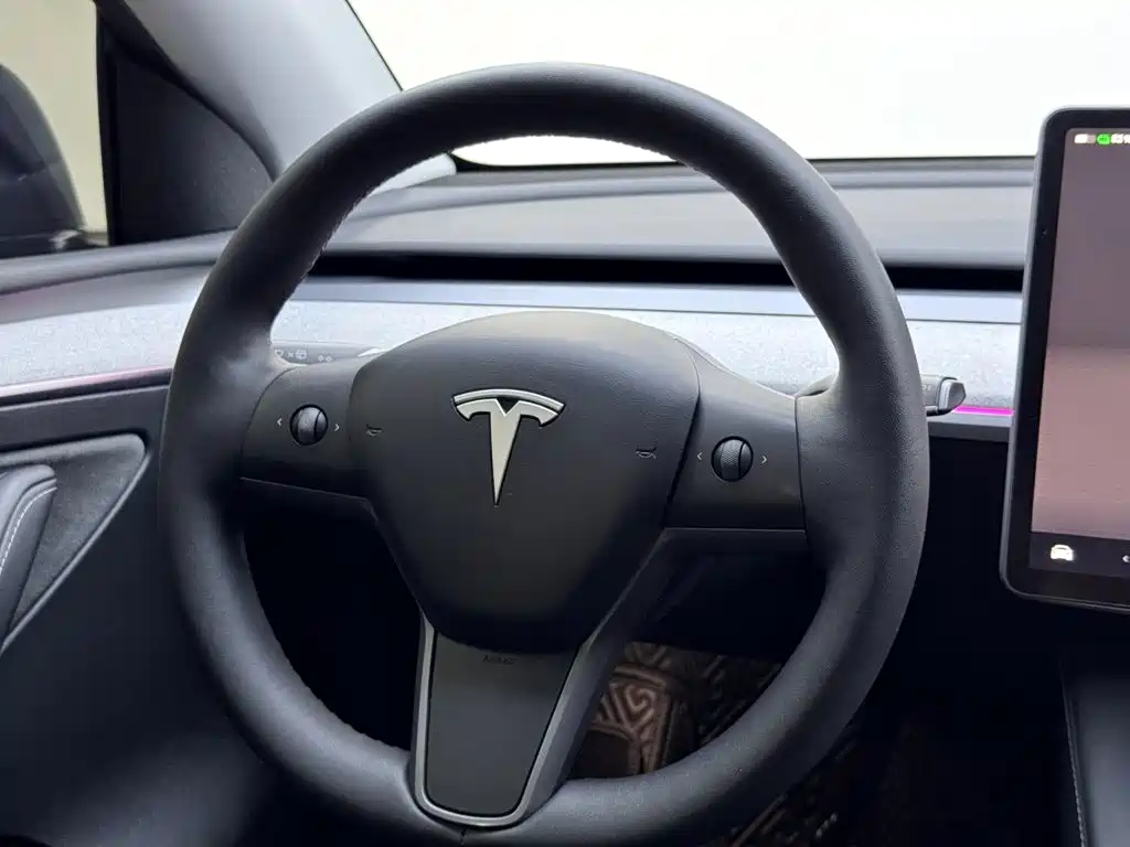 Tesla Model Y — миниатюра 13