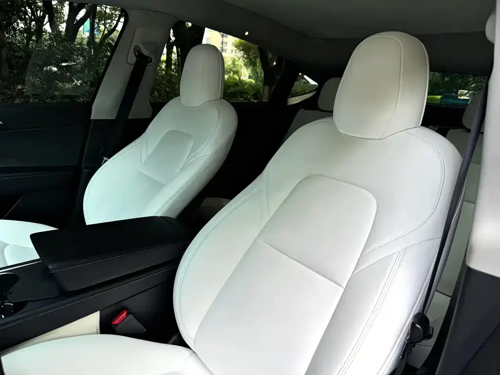 Tesla Model Y — миниатюра 6