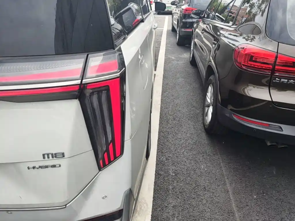 GAC Motor Trumpchi M8 — миниатюра 8