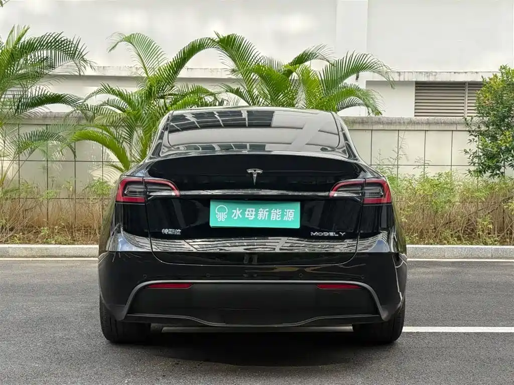 Tesla Model Y — миниатюра 7