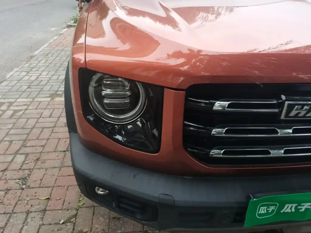 Haval Big Dog — миниатюра 7