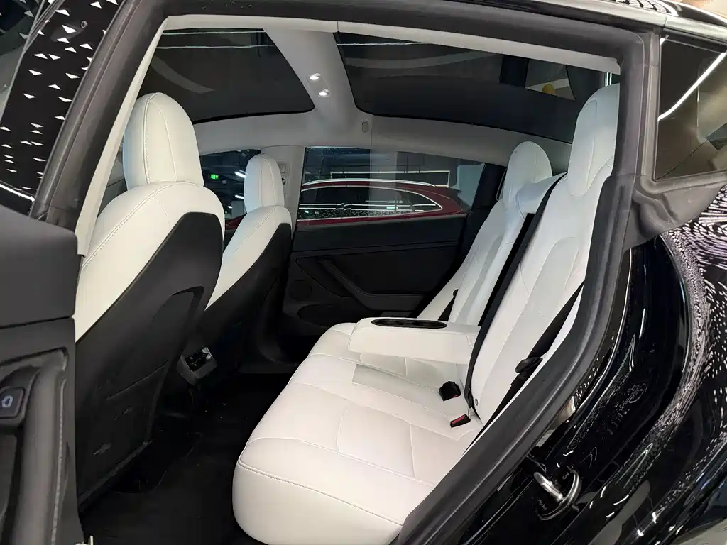 Tesla Model 3 2021 Performance 3D1