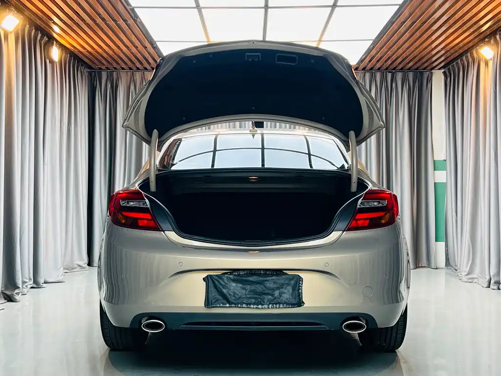 Buick Regal — миниатюра 6