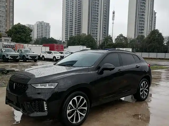 WEI PAI WEI BRAND VV7