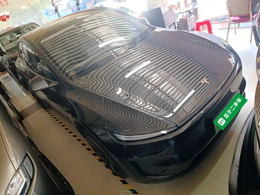 Tesla Model Y — миниатюра 4