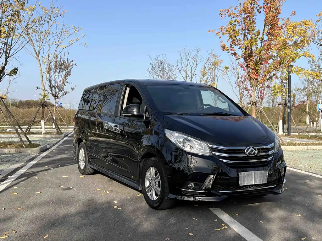 SAIC MAXUS CHASE G10