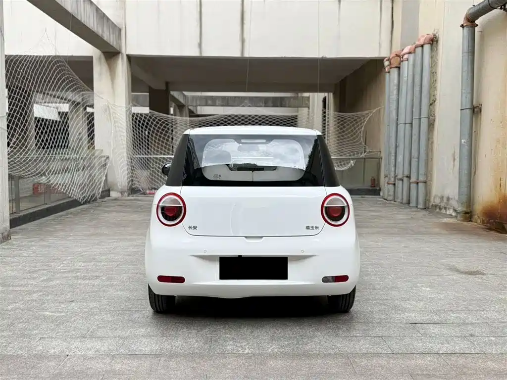Changan Lumin 2025 301km
