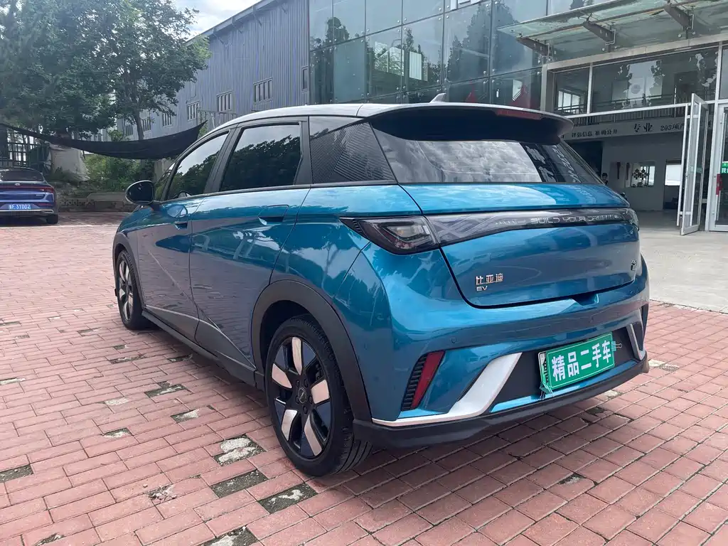 BYD Dolphin — миниатюра 6
