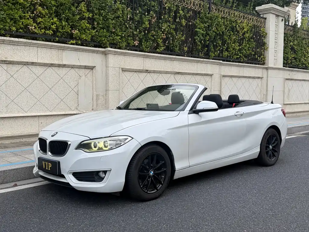 BMW 2 Series (Import)