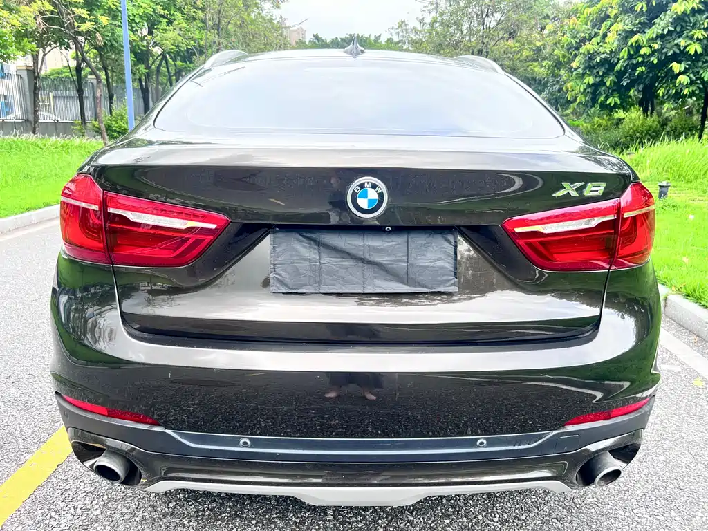 BMW X6 2015 xDrive35i Lead