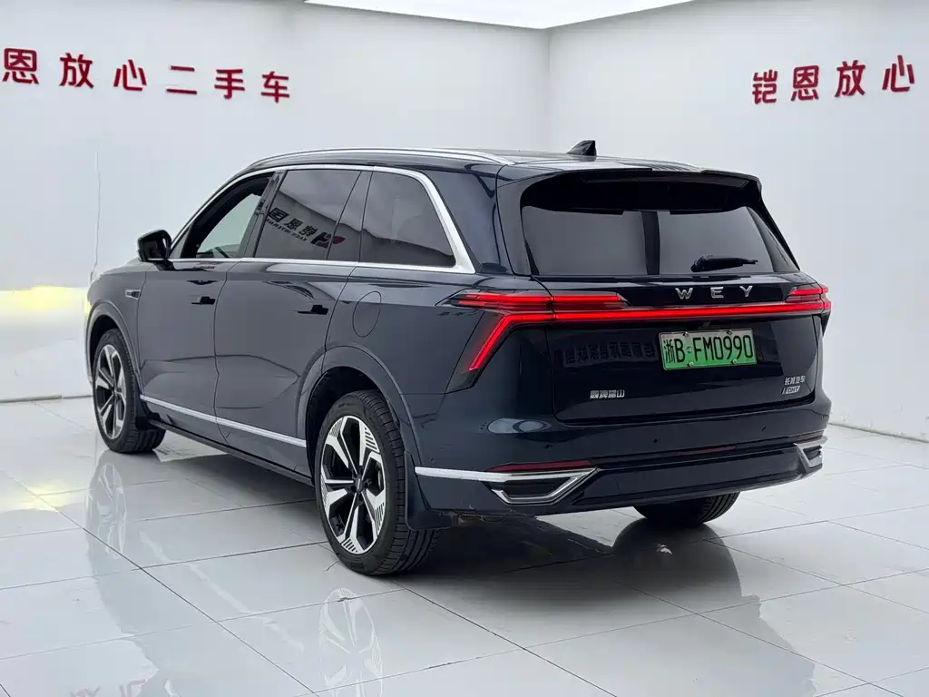 WEI PAI WEI BRAND BLUE MOUNTAIN