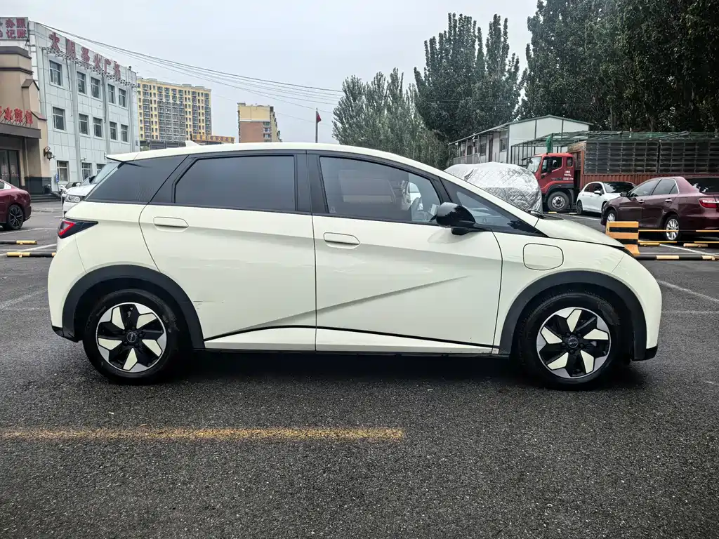 BYD Dolphin — миниатюра 8