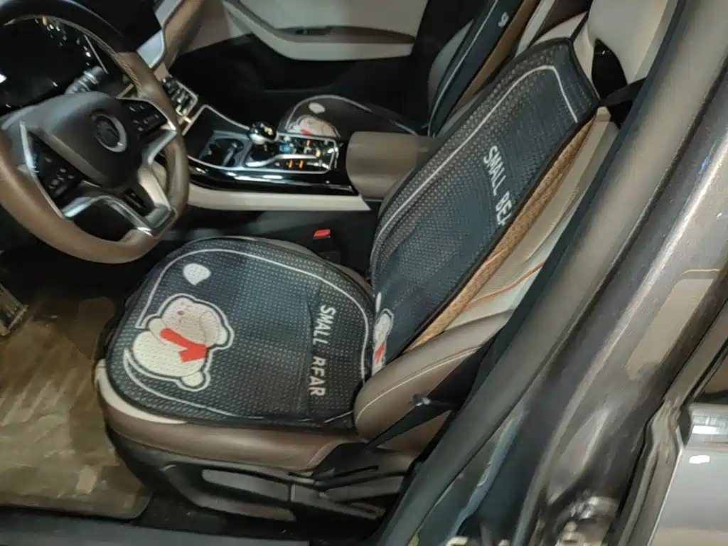BYD Qin PLUS — миниатюра 15