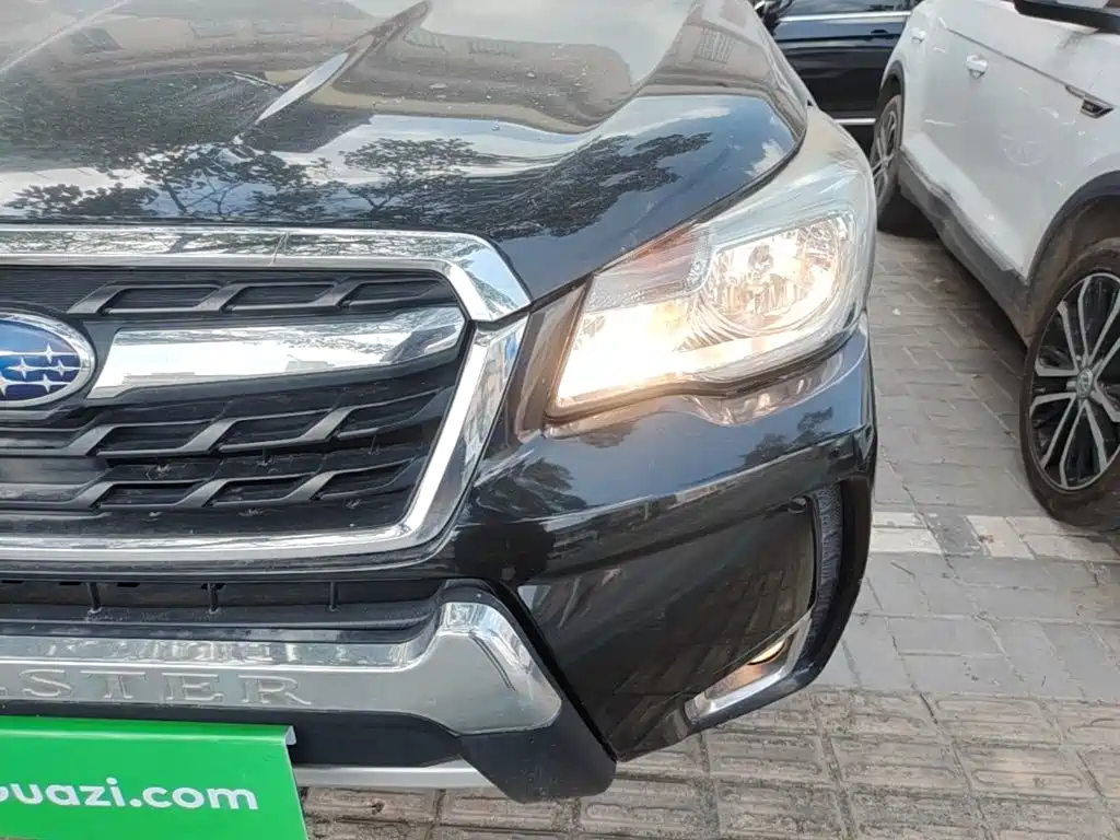 Subaru Forester — миниатюра 24