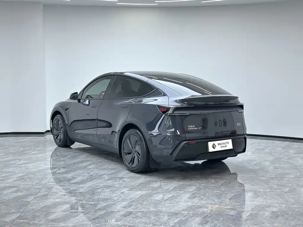 Tesla Model Y — миниатюра 3