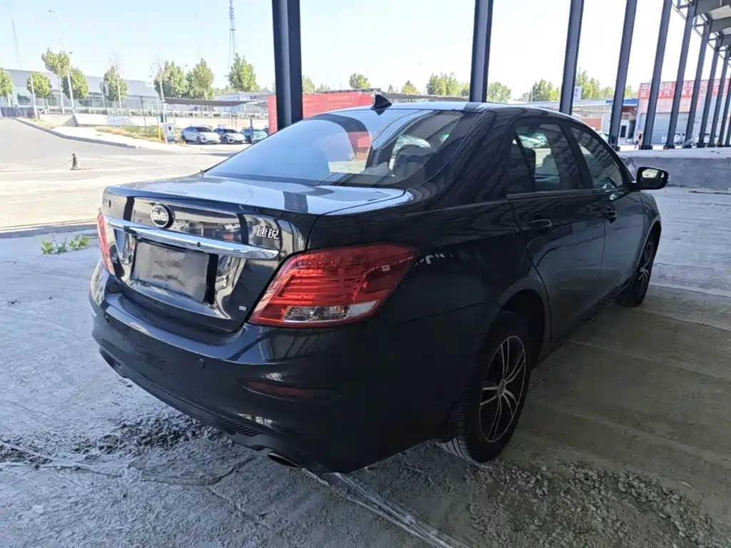 BYD Surui — миниатюра 7