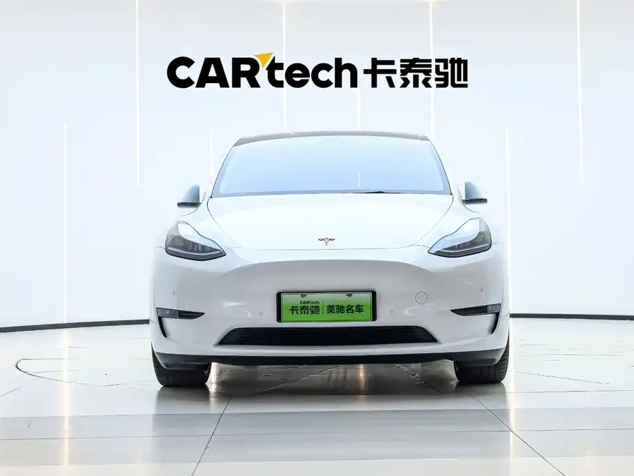 Tesla Model Y — миниатюра 6