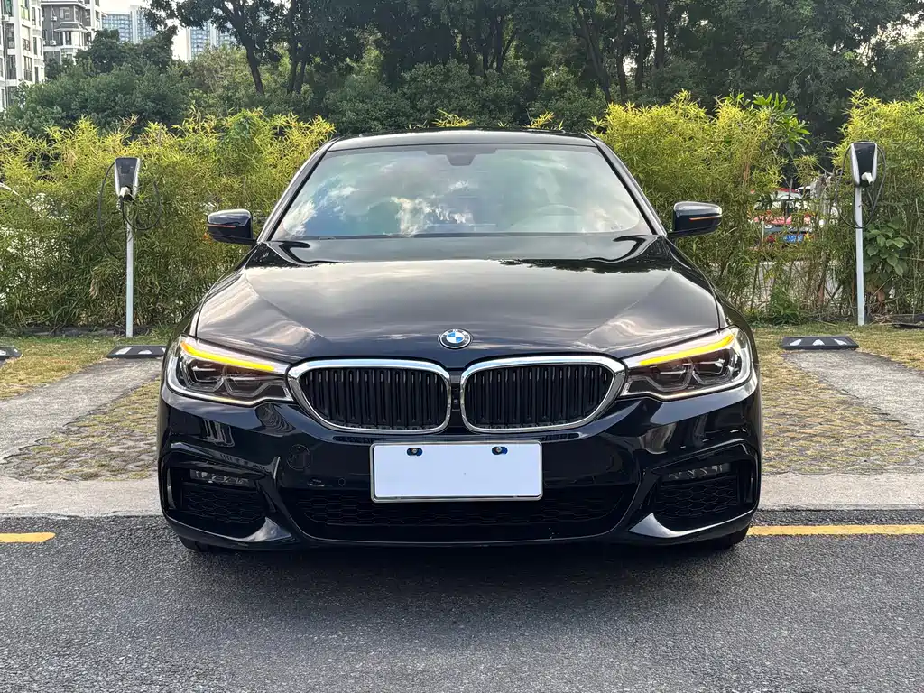 BMW 5 Series — миниатюра 2