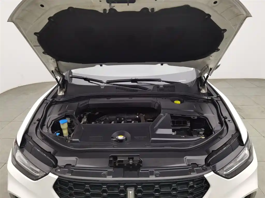 WEI PAI WEI BRAND VV5