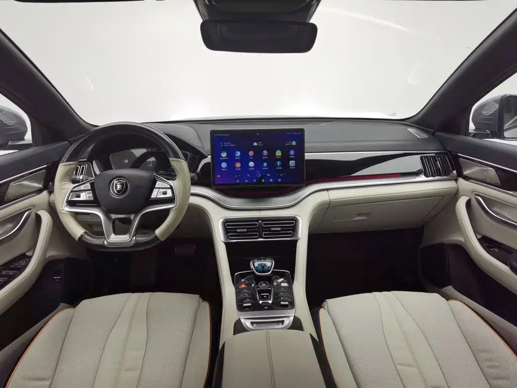 BYD PLUS New Energy — миниатюра 5