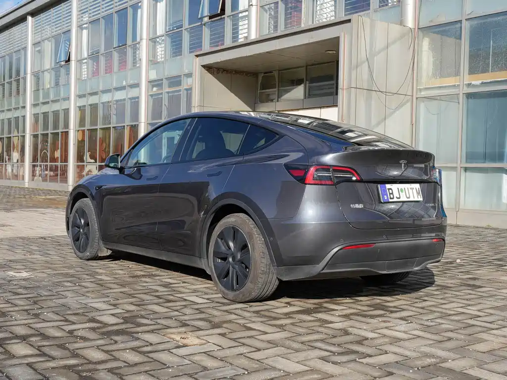 Tesla Model Y — миниатюра 7