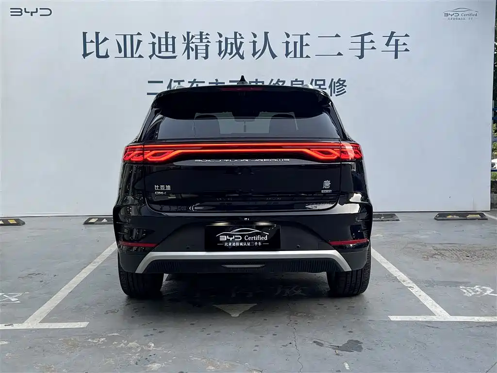 BYD TANGXIN ENERGY
