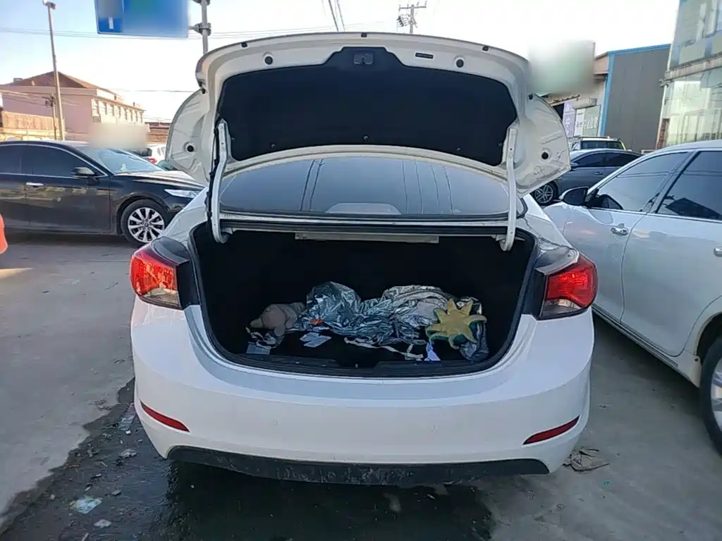 Hyundai Elantra Langdong — миниатюра 19