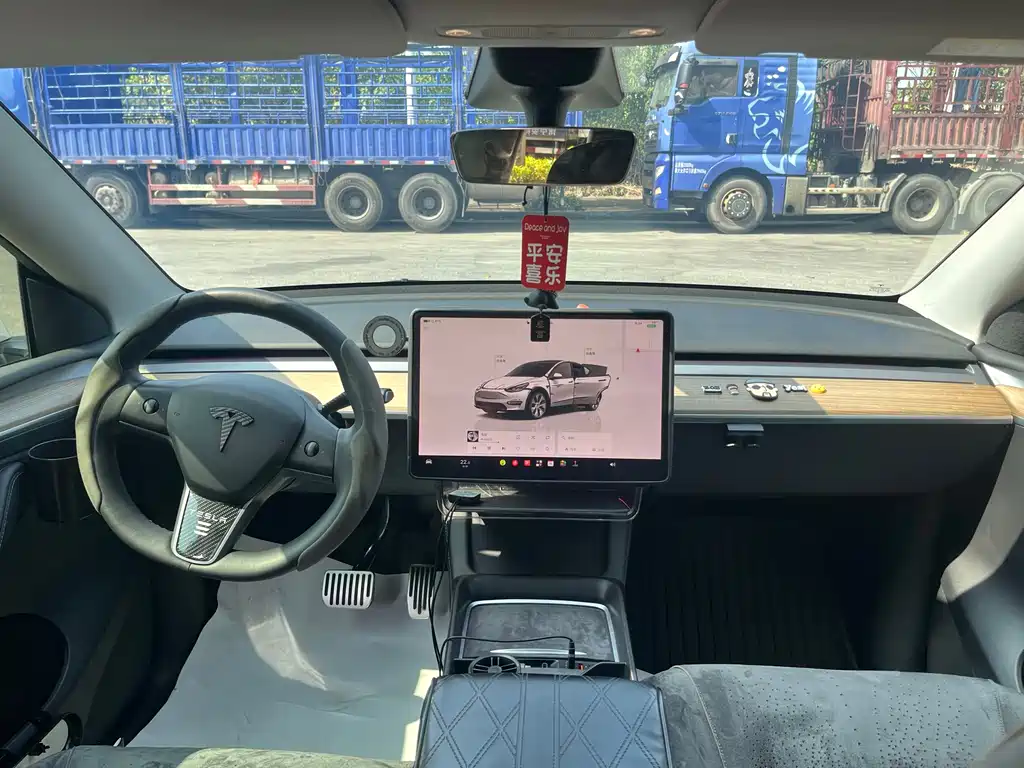 Tesla Model Y — миниатюра 10