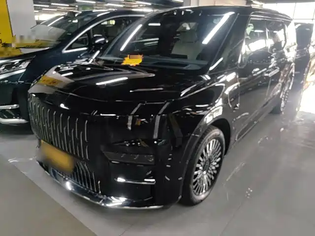 2025 Zeekr 009