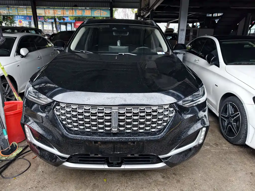 WEI PAI WEI BRAND VV6