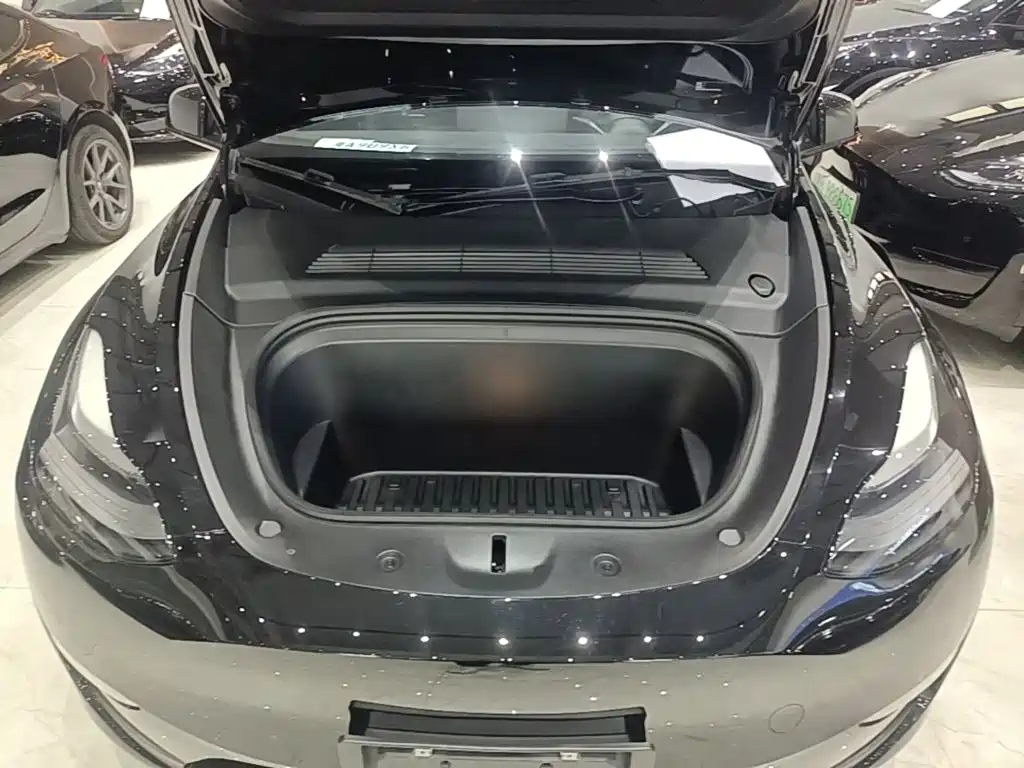 Tesla Model Y — миниатюра 20