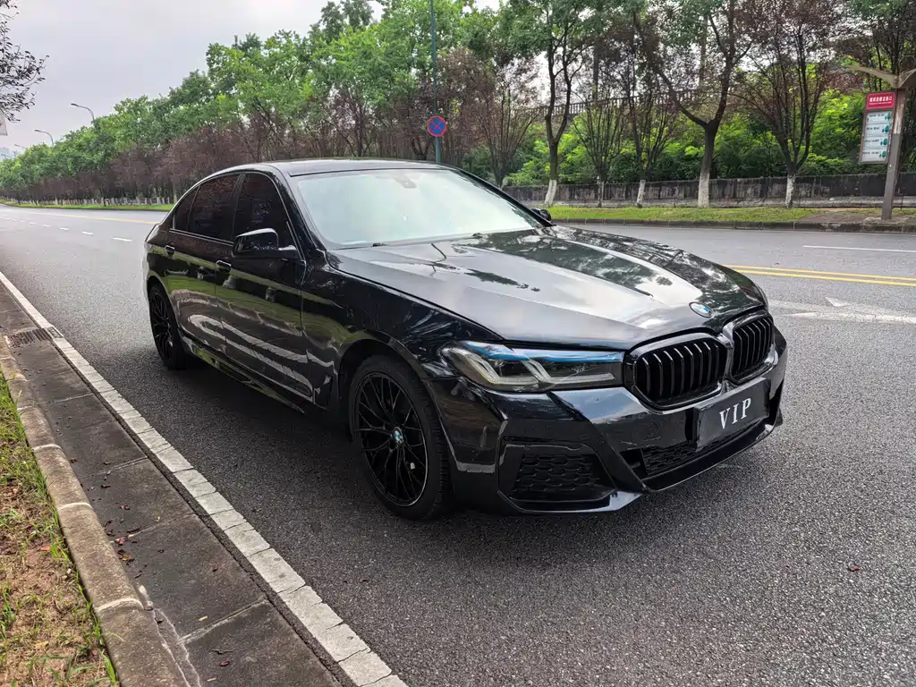 BMW 5 Series — миниатюра 3