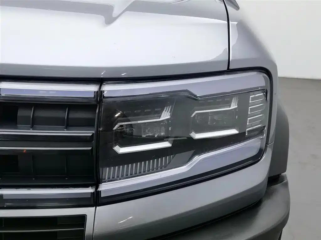 FANG CHENG BAO LEOPARD 5