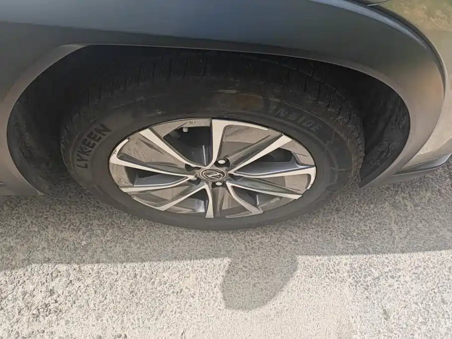 Lexus UX 2020 300e