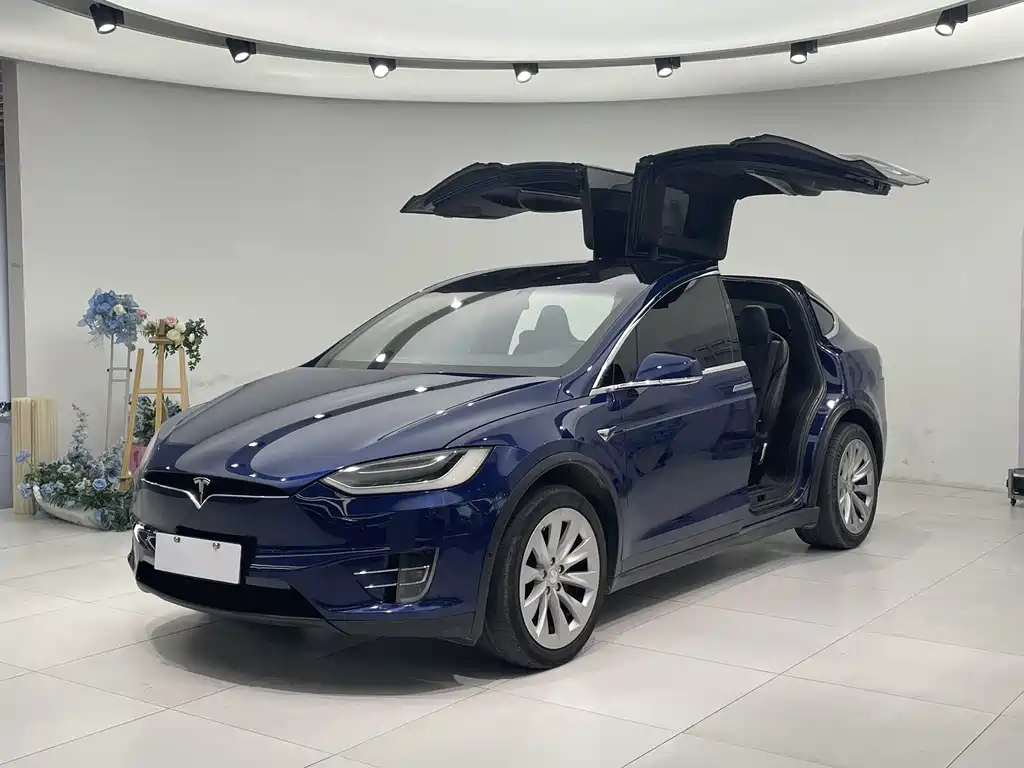Tesla Model X 2017 Model X 100D
