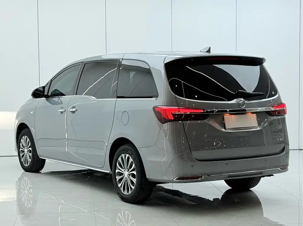 Buick GL8 — миниатюра 13