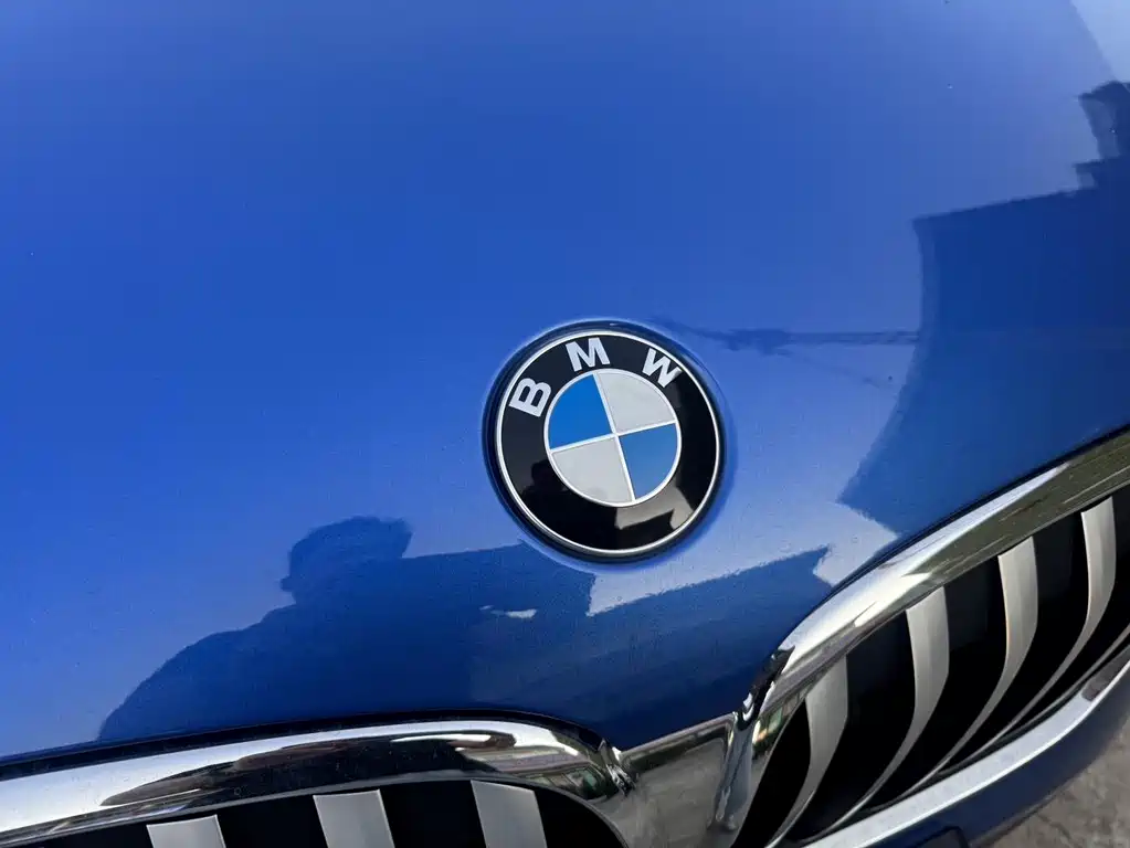 BMW X1 — миниатюра 31