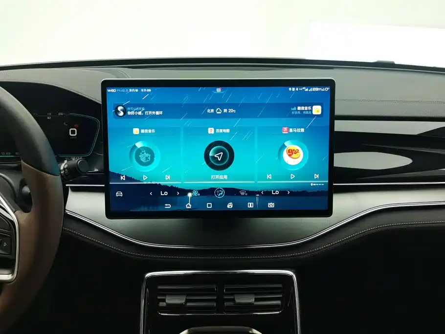 BYD Tang New Energy — миниатюра 13