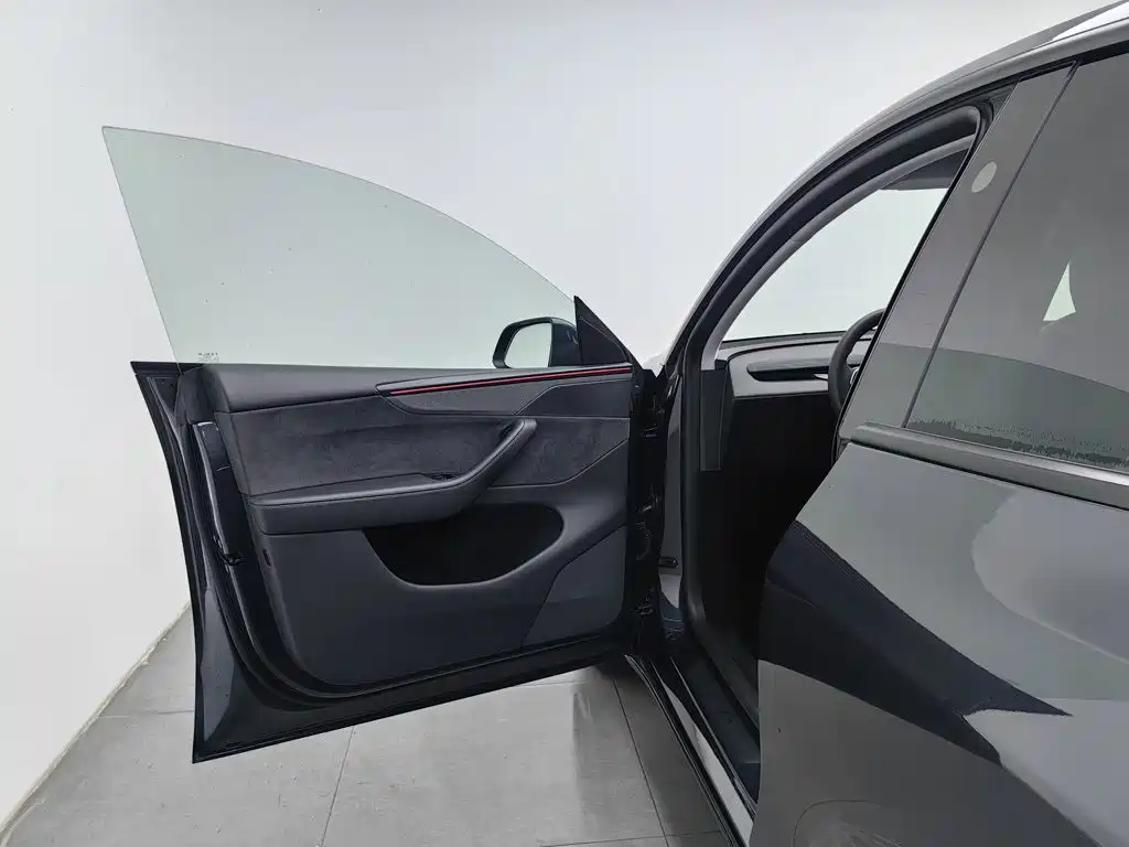 Tesla Model Y — миниатюра 8