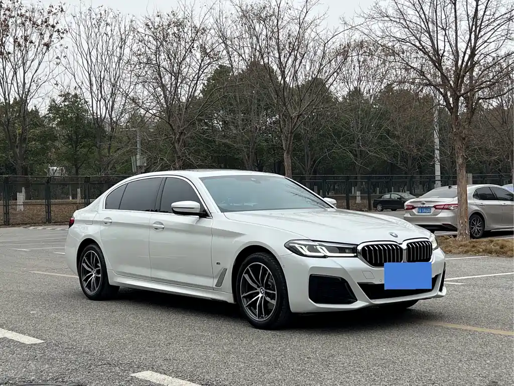 BMW 5 SERIES