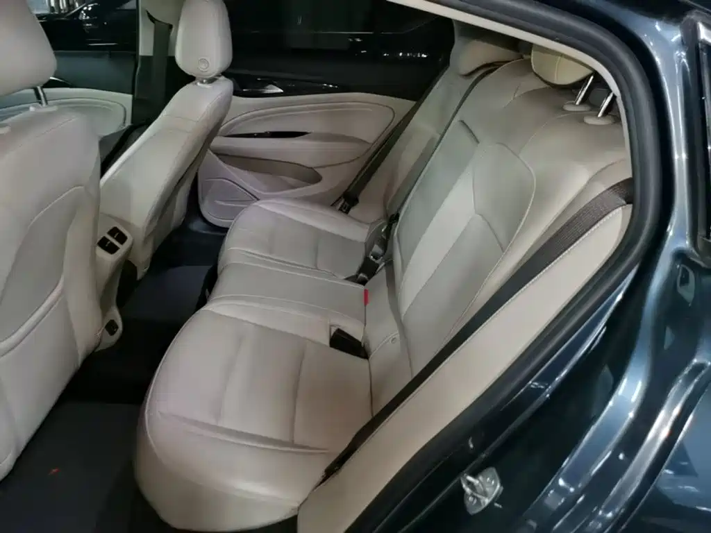 Buick Regal — миниатюра 17