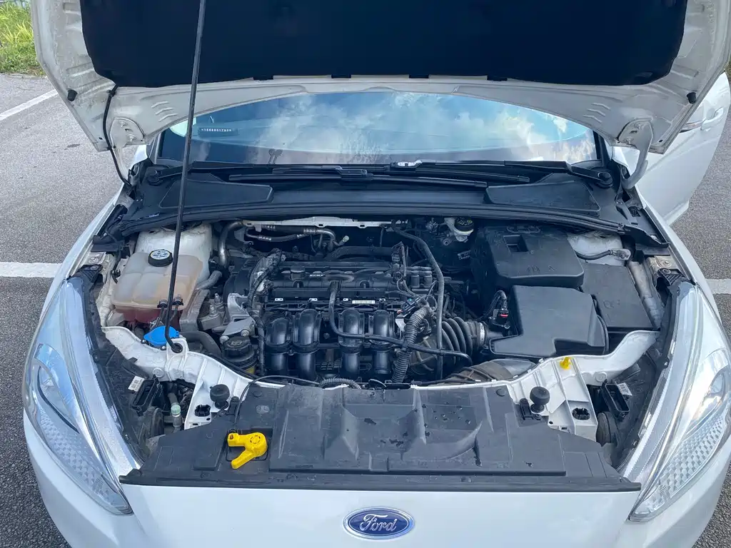 Ford Focus — миниатюра 13