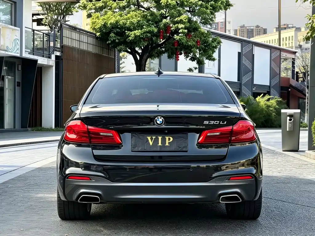 BMW 5 Series 5 2019 530Li Lead M Sport