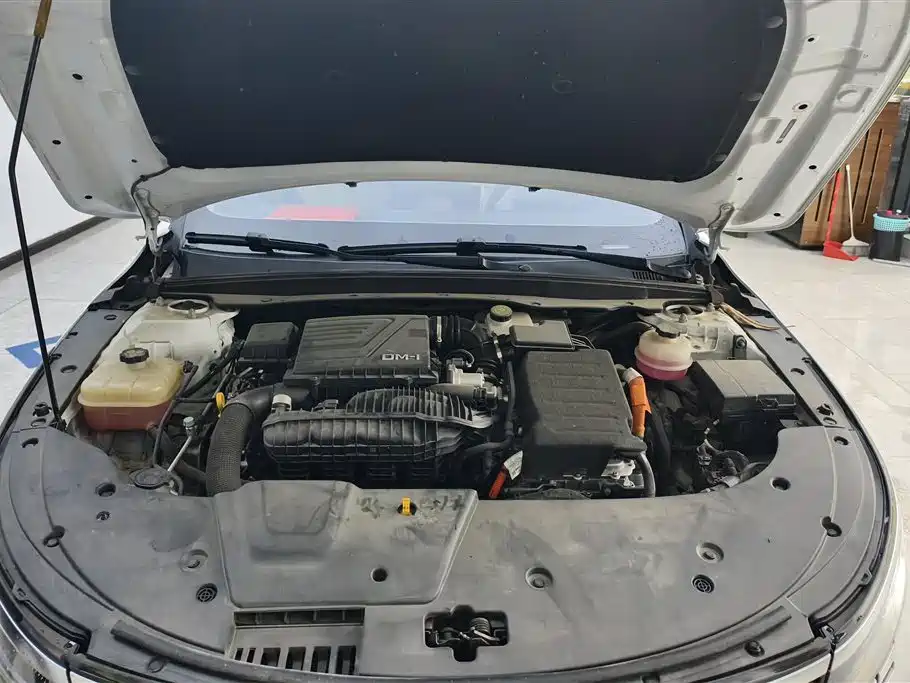 BYD Destroyer 05 2023 Champion DM-i 55KM Luxury
