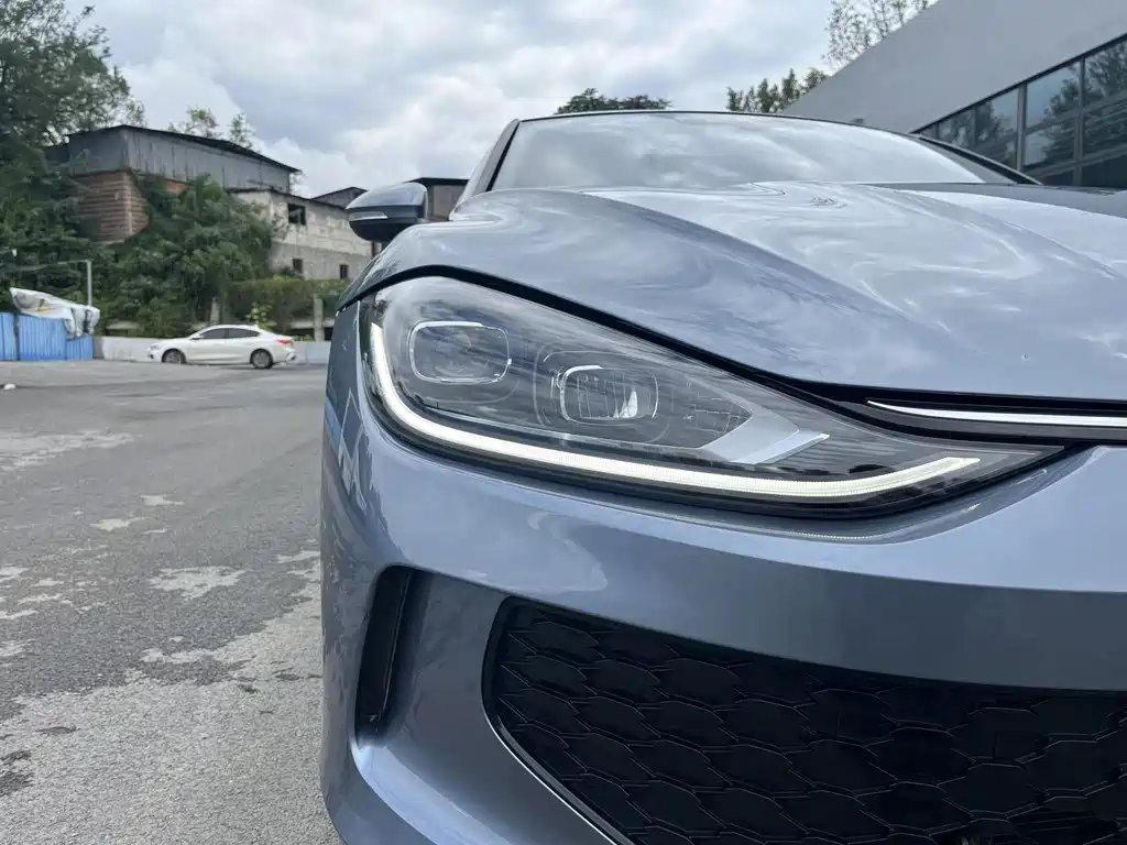 Volkswagen Lamando — миниатюра 15