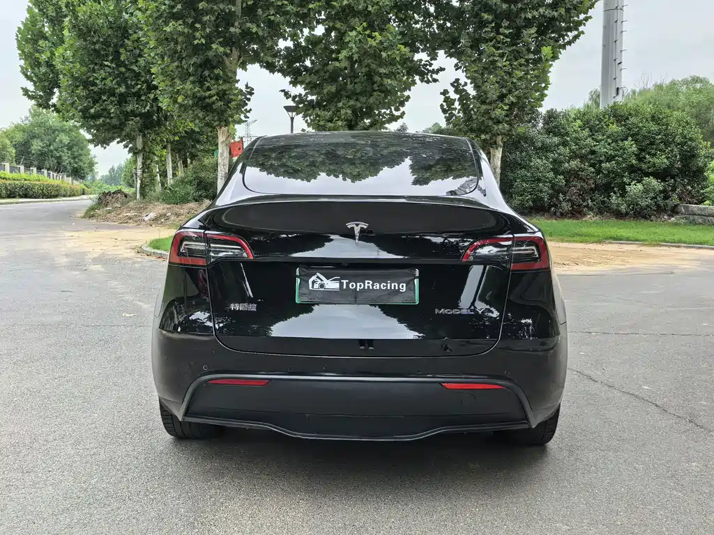 Tesla Model Y — миниатюра 8