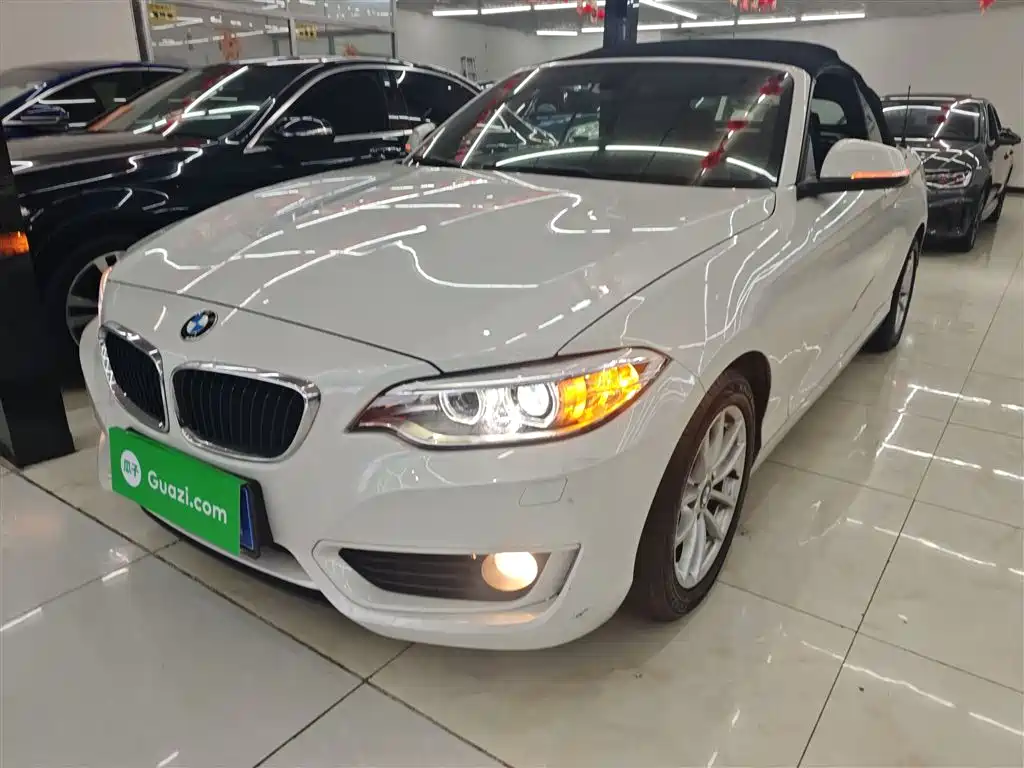 BMW 2 Series (Import) 2016